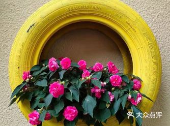 郁金香 太美了～#仙湖植物园花展记得来哦