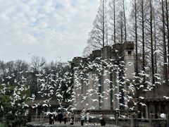 -音乐台