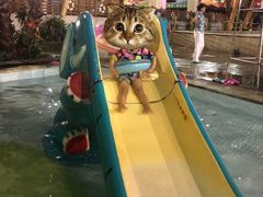 -南宫温泉水世界