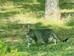 -羊亭河湿地公园