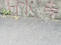 -白水寺森林公园