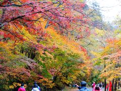 -丹东天桥沟景区