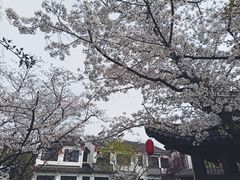 -尚贤河湿地