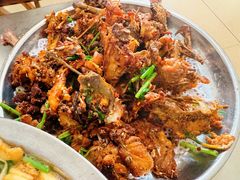 -小麦岛公园