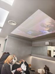 -Z.X HAIR SALON张新美业