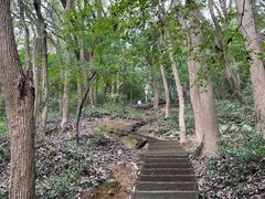 -上海佘山国家森林公园天马山园