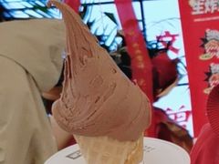 -野人先生现做冰淇淋(北京王府井东方新天地店)