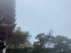 -青城山