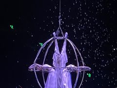 -广州长隆国际大马戏