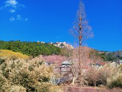 -崂山九水游览区