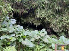 -海口火山口国家地质公园