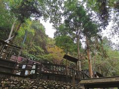 -宁海森林温泉