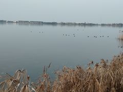 -阳澄湖半岛旅游度假区