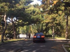 -钓鱼台国宾馆