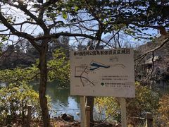 -井之头恩赐公园