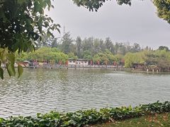 -翠湖公园