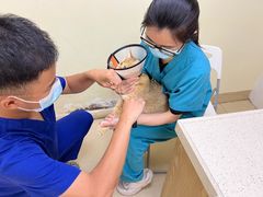 -芭比堂动物医院广州顽皮分院
