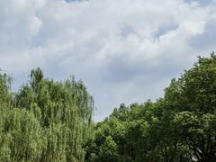 -贡湖湾湿地公园