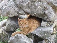 -锦溪古镇