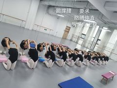 -西安小天鹅艺术团(曲江Alice店)