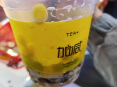 -加减茶饮(高沙店)