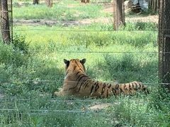 -秦皇岛野生动物园