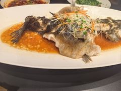 -羊门客在·烤盐池滩羊·川菜