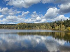 -五营红松林海景区