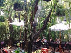 -Fern Forest Cafe