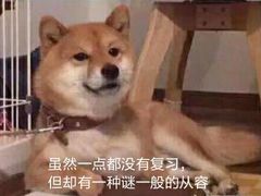 -西安外国语大学-学生食堂(栾树大道店)