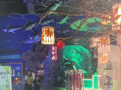 -烟台海昌鲸鲨海洋公园