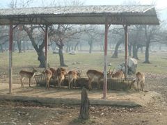 -西安秦岭野生动物园