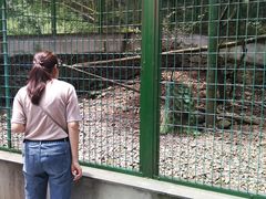 -藏龙百瀑风景区