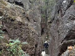 -玉石林风景区