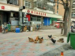 -津门张记包子铺(三马路店)