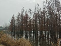 -三圣花乡旅游区