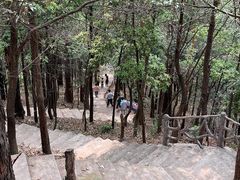 -滴水岩森林公园