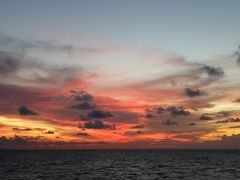 -海盗餐厅