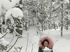 -亚布力新体委滑雪场