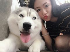 -TrueLove @ Neverland (Husky Cafe)