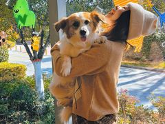 -西安浐灞艾美酒店·汉江餐厅·火锅