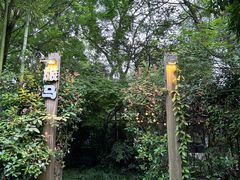 -旅马餐厅(茅家埠店)