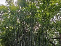-晓港公园