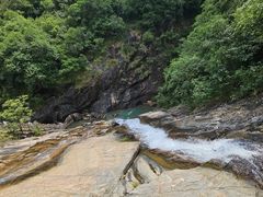 -广州白江湖森林公园