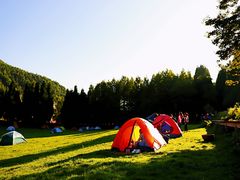 -武陵山森林公园