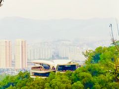 -金鸡山公园