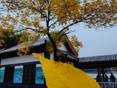 -济南大明湖景区