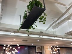 -红菇坊鲜汤火锅(北行店)