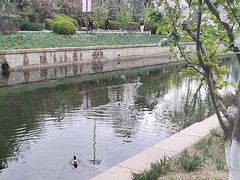 -元大都城垣遗址公园