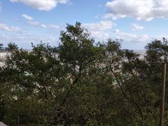 -青龙山公园